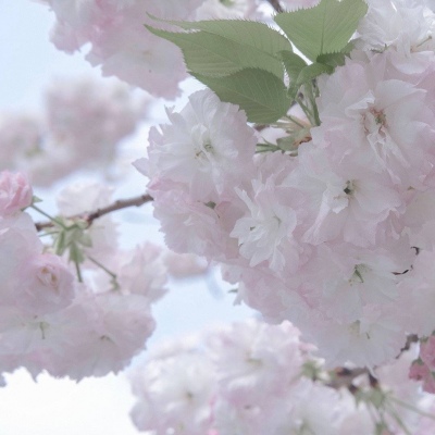 连州FurryQQ群介绍